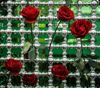 گل آرایی ضریح مطهر حضرت عبدالعظیم حسنی(ع) / عکس: محمود رحیمی